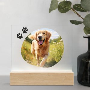 3D Led Lamp - Golden Retriever 1