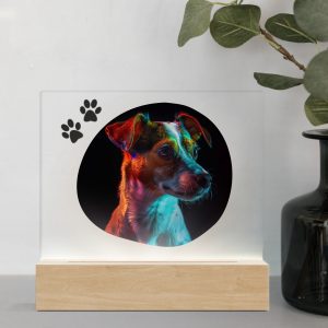 3D Led Lamp - Jack Russel 1 Color