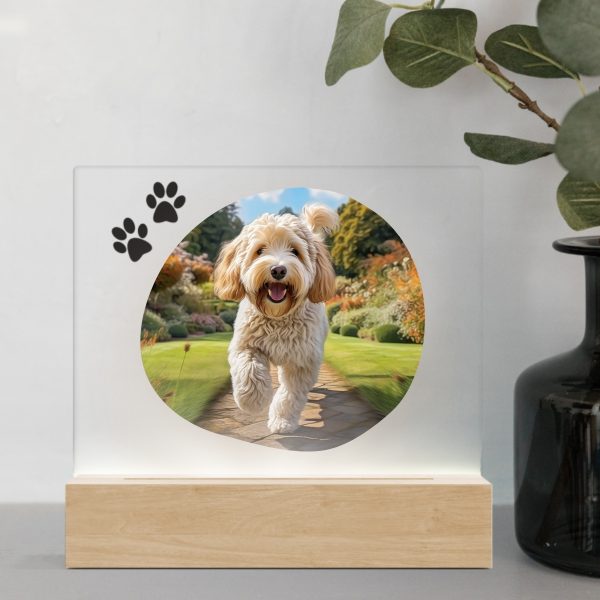 3D Led Lamp - Labradoodle 1