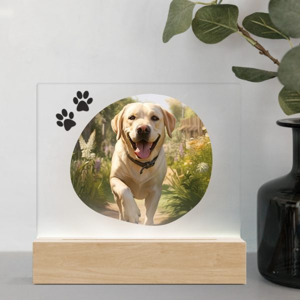 3D Led Lamp - Labrador 1