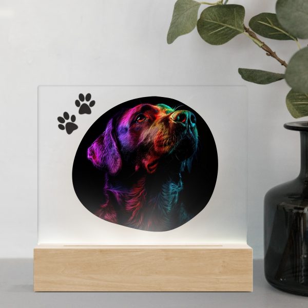 3D Led Lamp - Labrador 1 Color