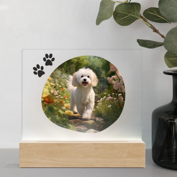 3D Led Lamp - Maltipoo 1