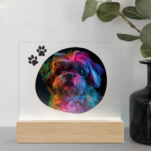 3D Led Lamp - Shih tzu 1 Color