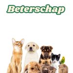 Beterschap - Kaartje