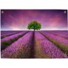 Pillow Buddies tuinposter – romantisch lavendelveld