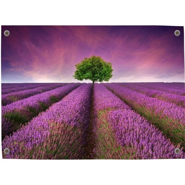 Pillow Buddies tuinposter – romantisch lavendelveld