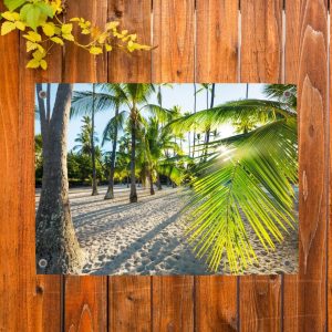 Schuttingdecoratie: tuinposter met een exotisch strand en kokospalmen