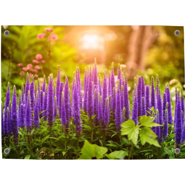 Tuinposter met bloeiende lentebloemen